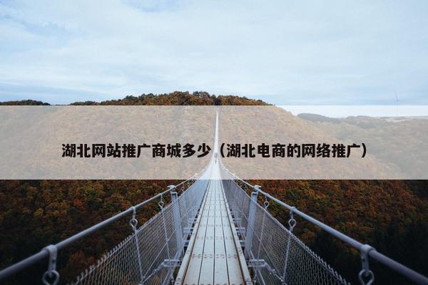 湖北网站推广商城多少（湖北电商的网络推广）