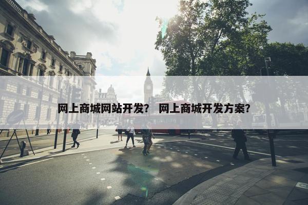 网上商城网站开发？ 网上商城开发方案？