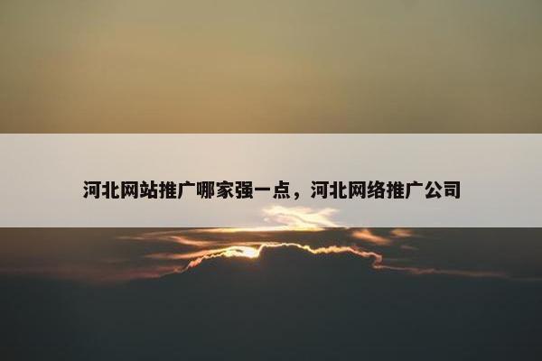 河北网站推广哪家强一点，河北网络推广公司