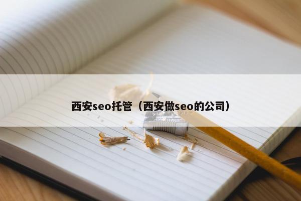 西安seo托管（西安做seo的公司）