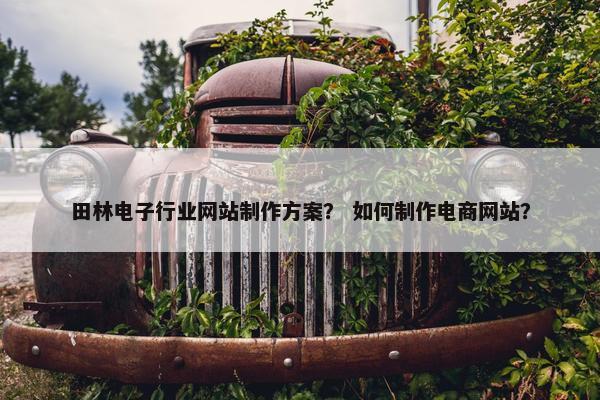 田林电子行业网站制作方案？ 如何制作电商网站？