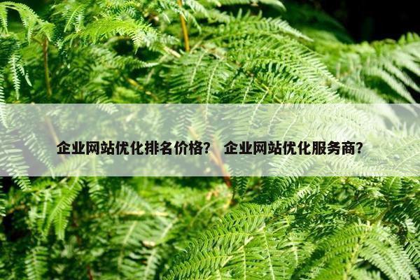 企业网站优化排名价格？ 企业网站优化服务商？