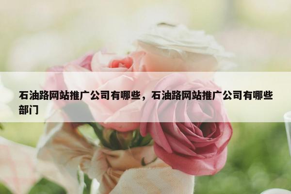石油路网站推广公司有哪些，石油路网站推广公司有哪些部门