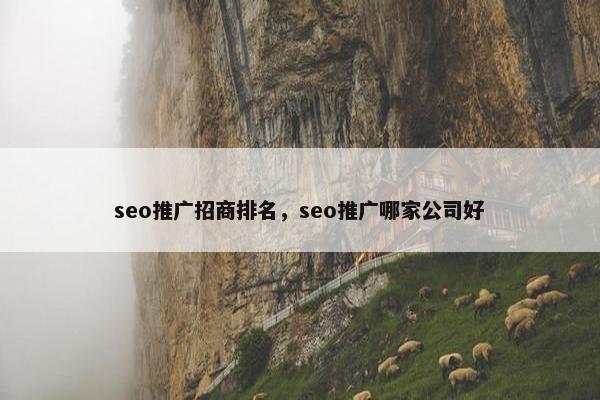 seo推广招商排名，seo推广哪家公司好