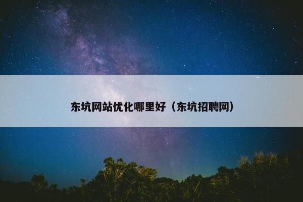 东坑网站优化哪里好（东坑招聘网）