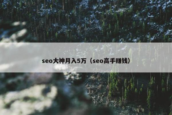seo大神月入5万（seo高手赚钱）