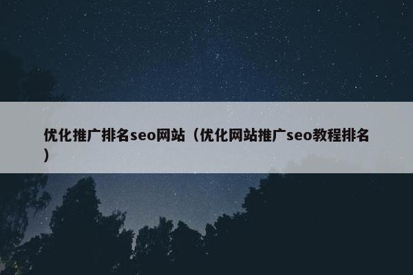 优化推广排名seo网站（优化网站推广seo教程排名）