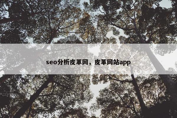 seo分析皮革网，皮革网站app