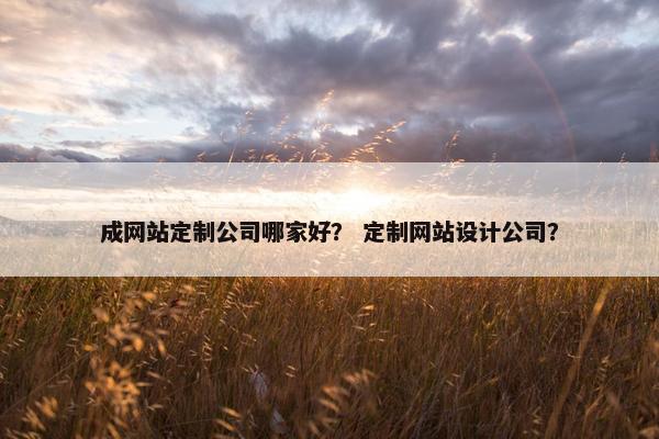 成网站定制公司哪家好？ 定制网站设计公司？