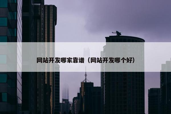 网站开发哪家靠谱（网站开发哪个好）