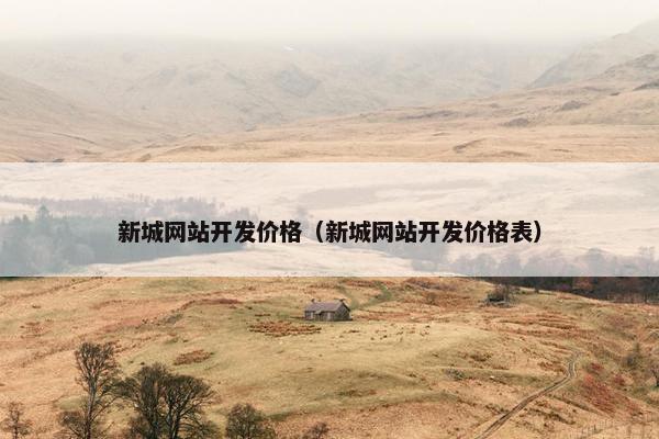 新城网站开发价格（新城网站开发价格表）