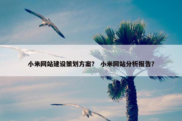 小米网站建设策划方案？ 小米网站分析报告？
