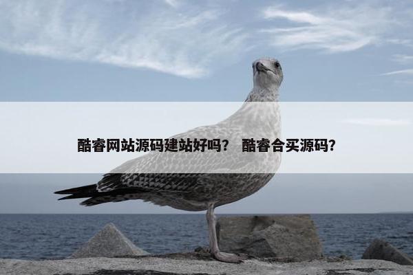 酷睿网站源码建站好吗？ 酷睿合买源码？