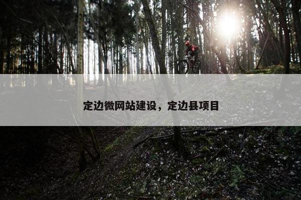 定边微网站建设，定边县项目