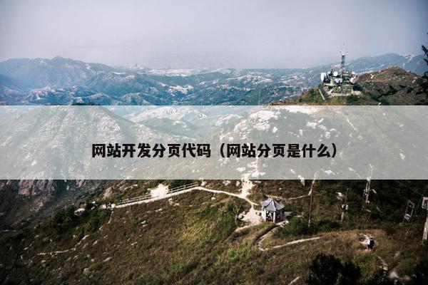 网站开发分页代码（网站分页是什么）