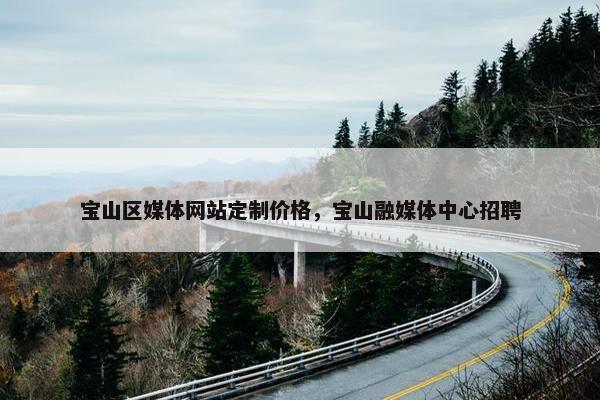 宝山区媒体网站定制价格，宝山融媒体中心招聘