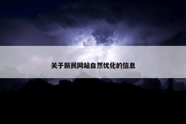 关于新民网站自然优化的信息