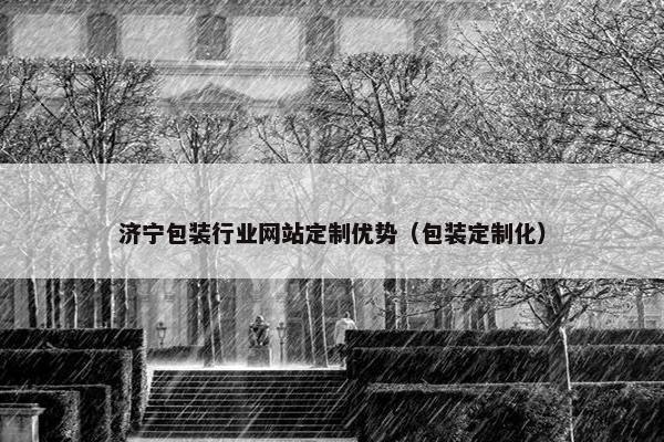 济宁包装行业网站定制优势（包装定制化）