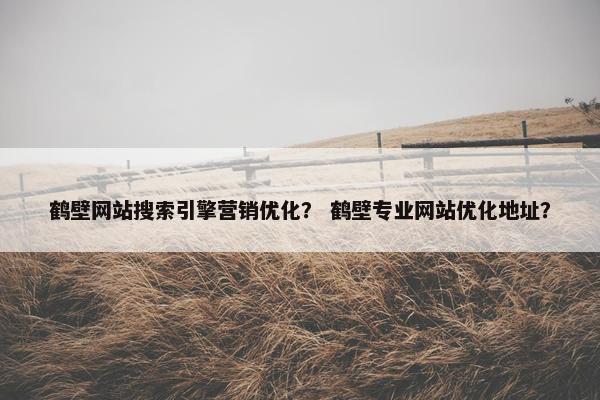 鹤壁网站搜索引擎营销优化？ 鹤壁专业网站优化地址？