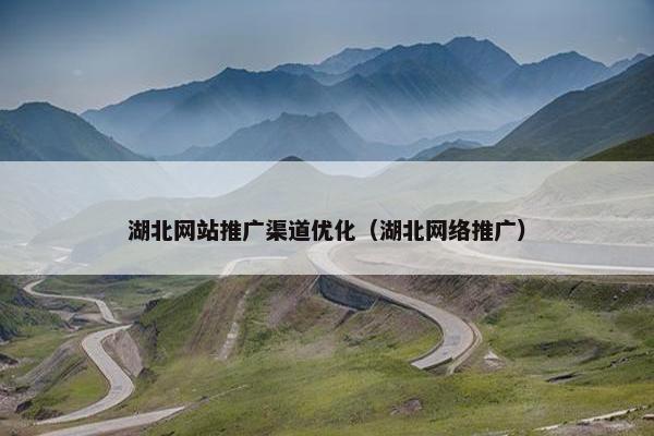 湖北网站推广渠道优化（湖北网络推广）