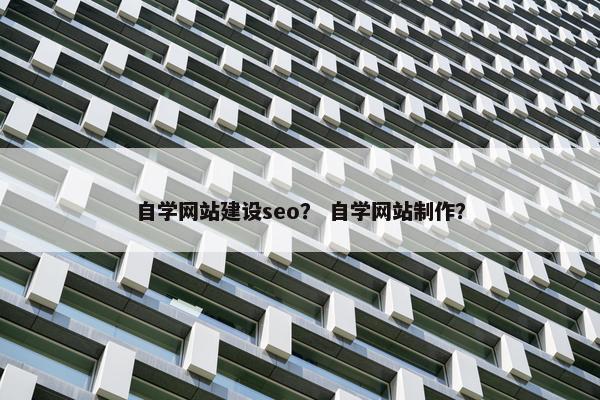 自学网站建设seo？ 自学网站制作？
