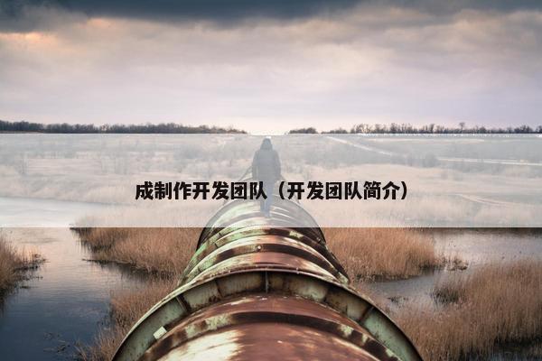 成制作开发团队（开发团队简介）