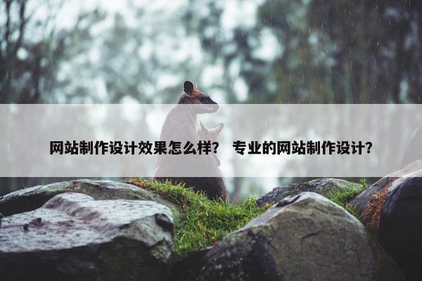 网站制作设计效果怎么样？ 专业的网站制作设计？