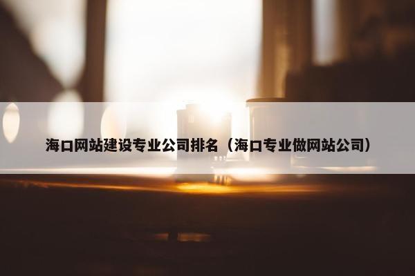 海口网站建设专业公司排名（海口专业做网站公司）