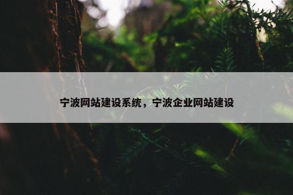 宁波网站建设系统，宁波企业网站建设
