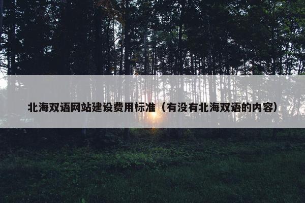 北海双语网站建设费用标准（有没有北海双语的内容）