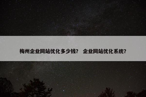 梅州企业网站优化多少钱？ 企业网站优化系统？