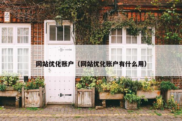 网站优化账户（网站优化账户有什么用）