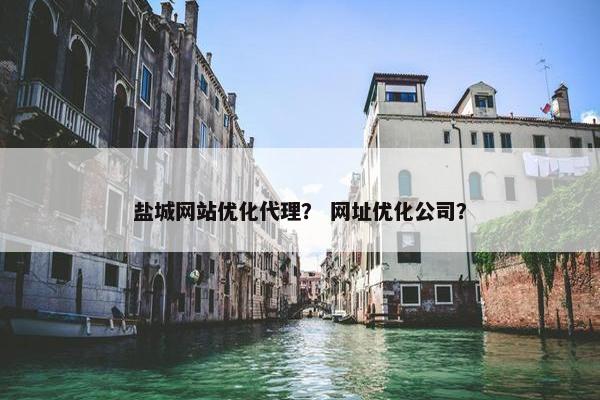 盐城网站优化代理？ 网址优化公司？