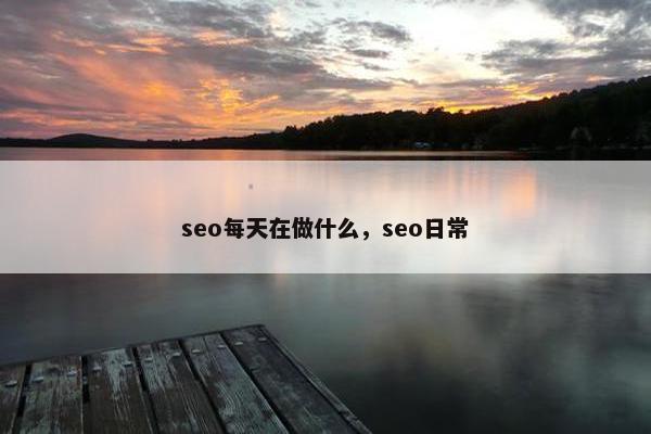 seo每天在做什么，seo日常