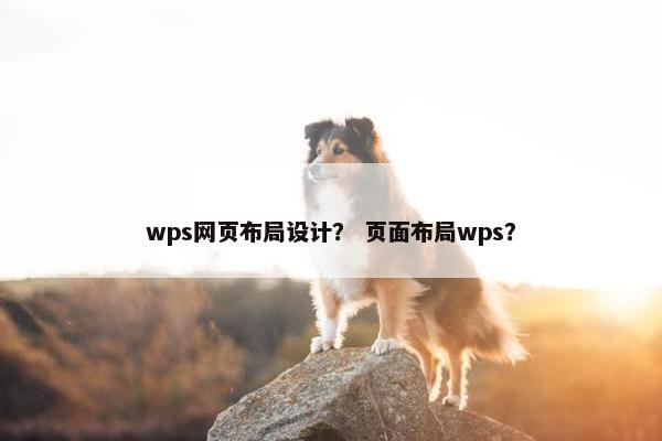 wps网页布局设计？ 页面布局wps？