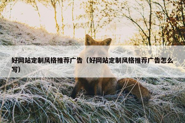 好网站定制风格推荐广告（好网站定制风格推荐广告怎么写）
