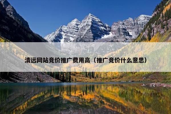 清远网站竞价推广费用高（推广竞价什么意思）