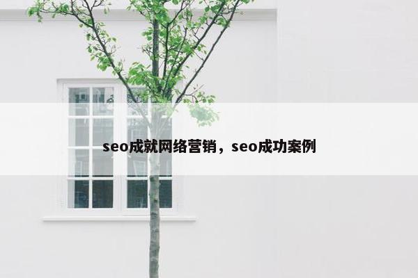 seo成就网络营销，seo成功案例