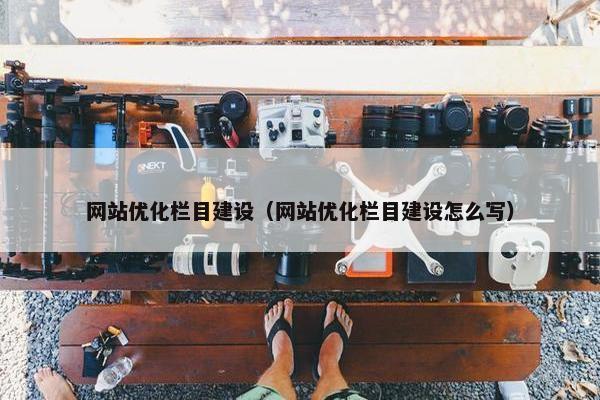 网站优化栏目建设（网站优化栏目建设怎么写）