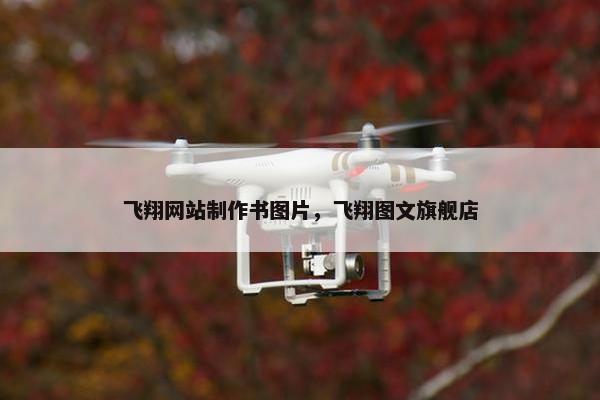 飞翔网站制作书图片，飞翔图文旗舰店