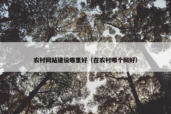 农村网站建设哪里好（在农村哪个网好）