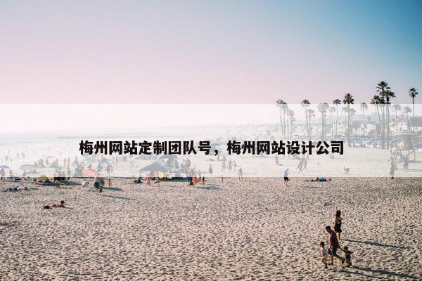 梅州网站定制团队号，梅州网站设计公司
