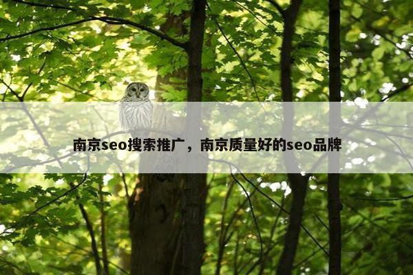 南京seo搜索推广，南京质量好的seo品牌