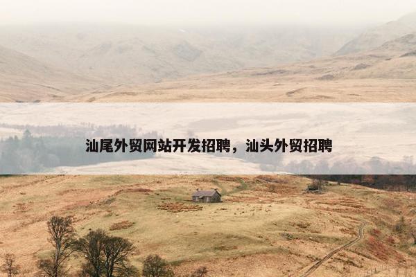汕尾外贸网站开发招聘，汕头外贸招聘