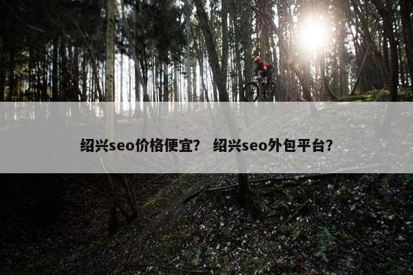 绍兴seo价格便宜？ 绍兴seo外包平台？