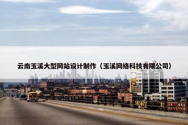 云南玉溪大型网站设计制作（玉溪网络科技有限公司）