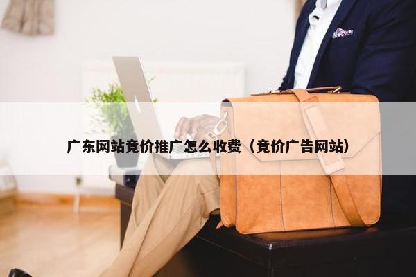 广东网站竞价推广怎么收费（竞价广告网站）