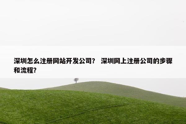 深圳怎么注册网站开发公司？ 深圳网上注册公司的步骤和流程？
