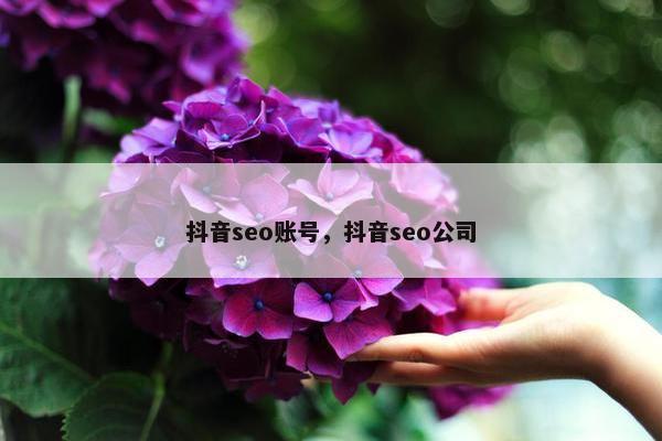 抖音seo账号，抖音seo公司