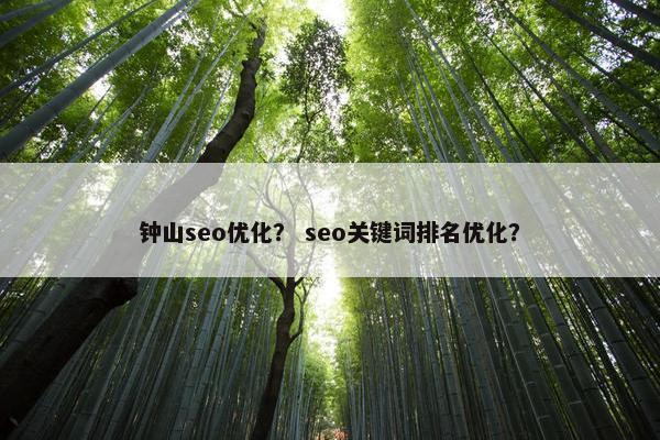 钟山seo优化？ seo关键词排名优化？